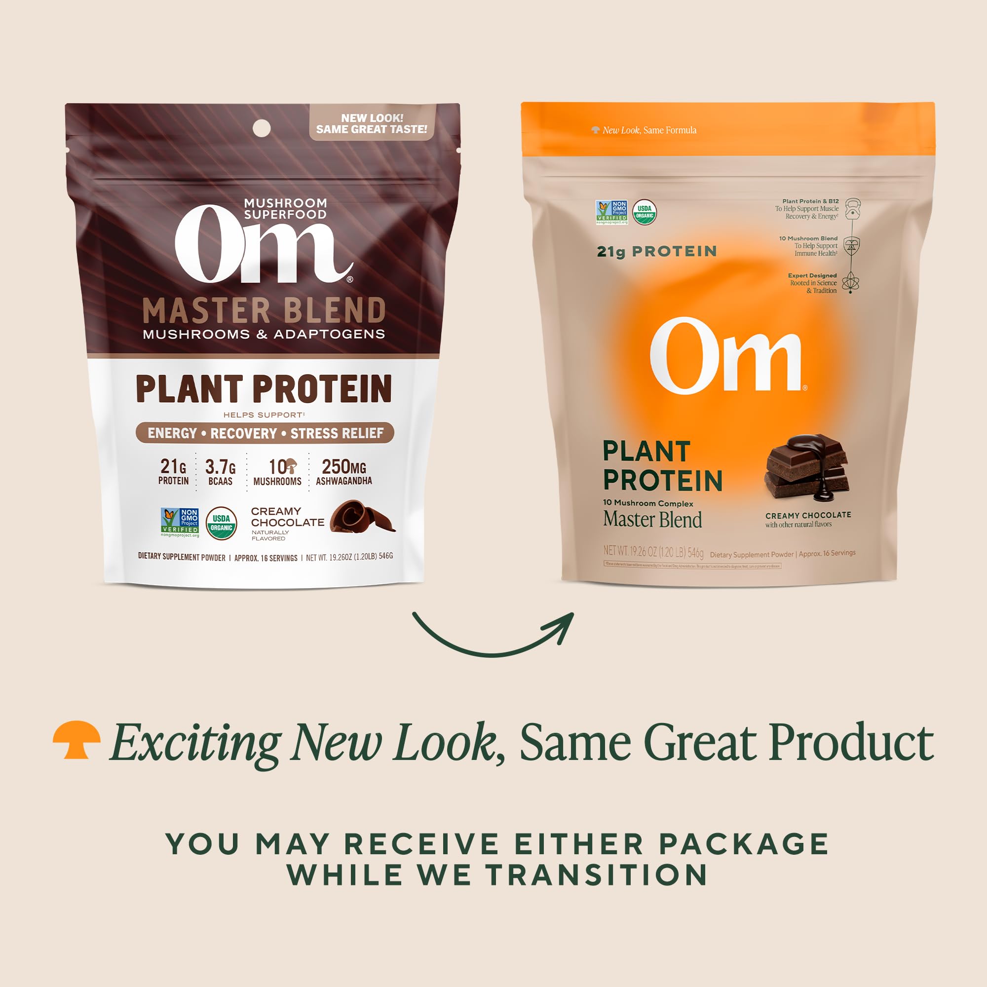 Chocolate vegan protein powder with 10 functional mushrooms