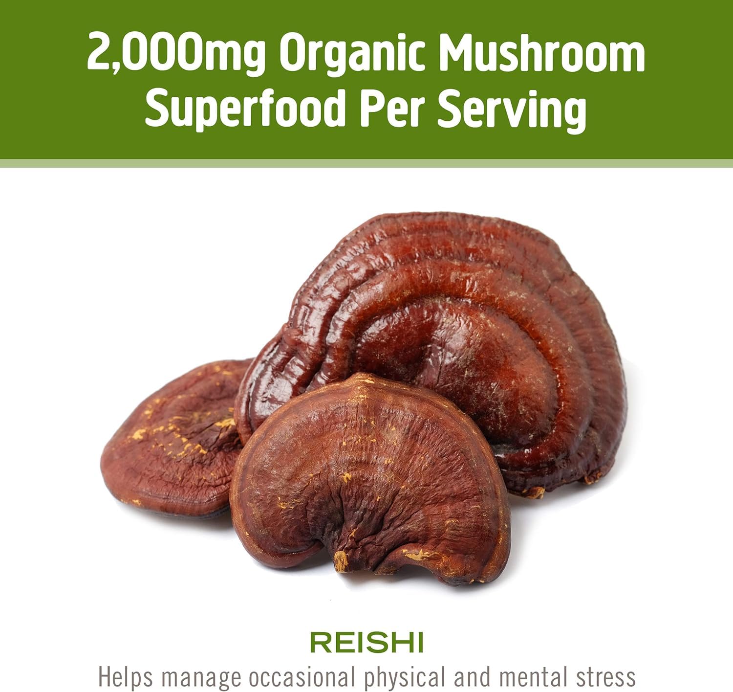 Reishi powder being added to smoothies
