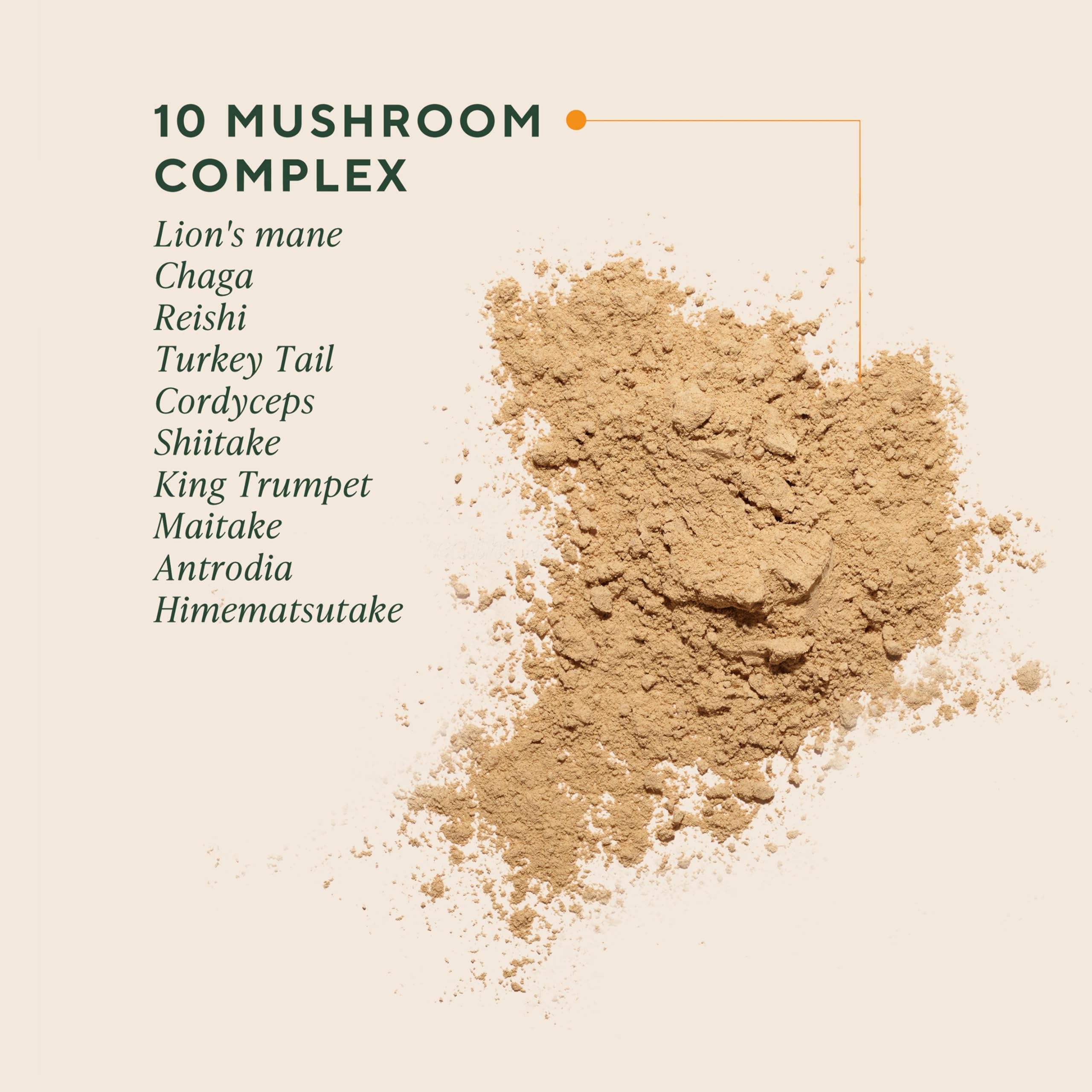 Close-up of the 10 mushroom varieties used in the blend