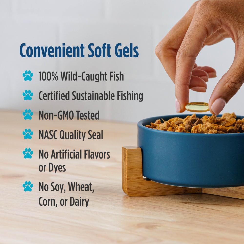 Healthy skin and coat illustration for dogs