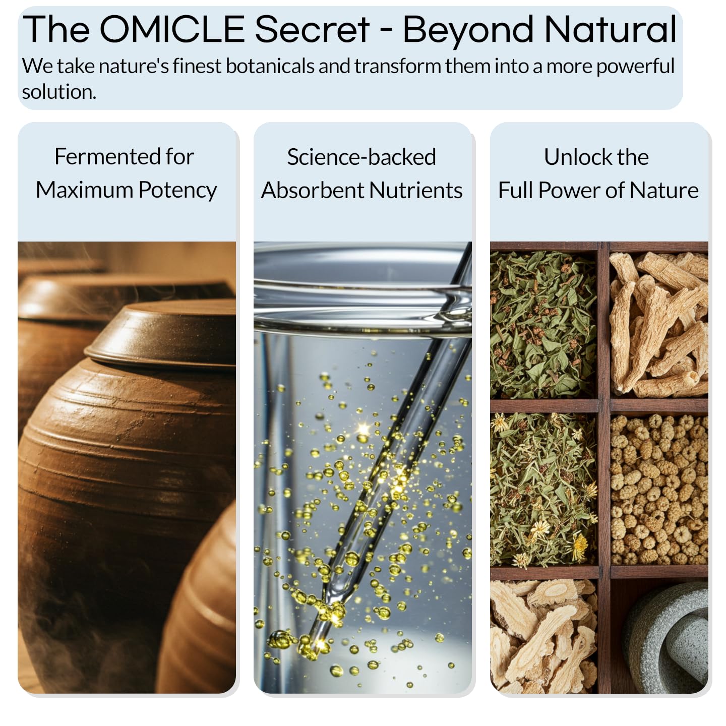 Natural plant-based ingredients illustration for OMICLE
