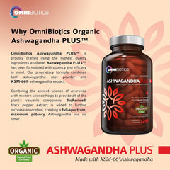 Vegan capsules bottle of OmniBiotics Ashwagandha 120-count