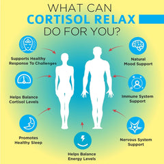 Ashwagandha and L-Theanine ingredients in OmniBiotics formula