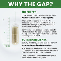 Broccoli seed extract (BroccoRaphanin) graphic