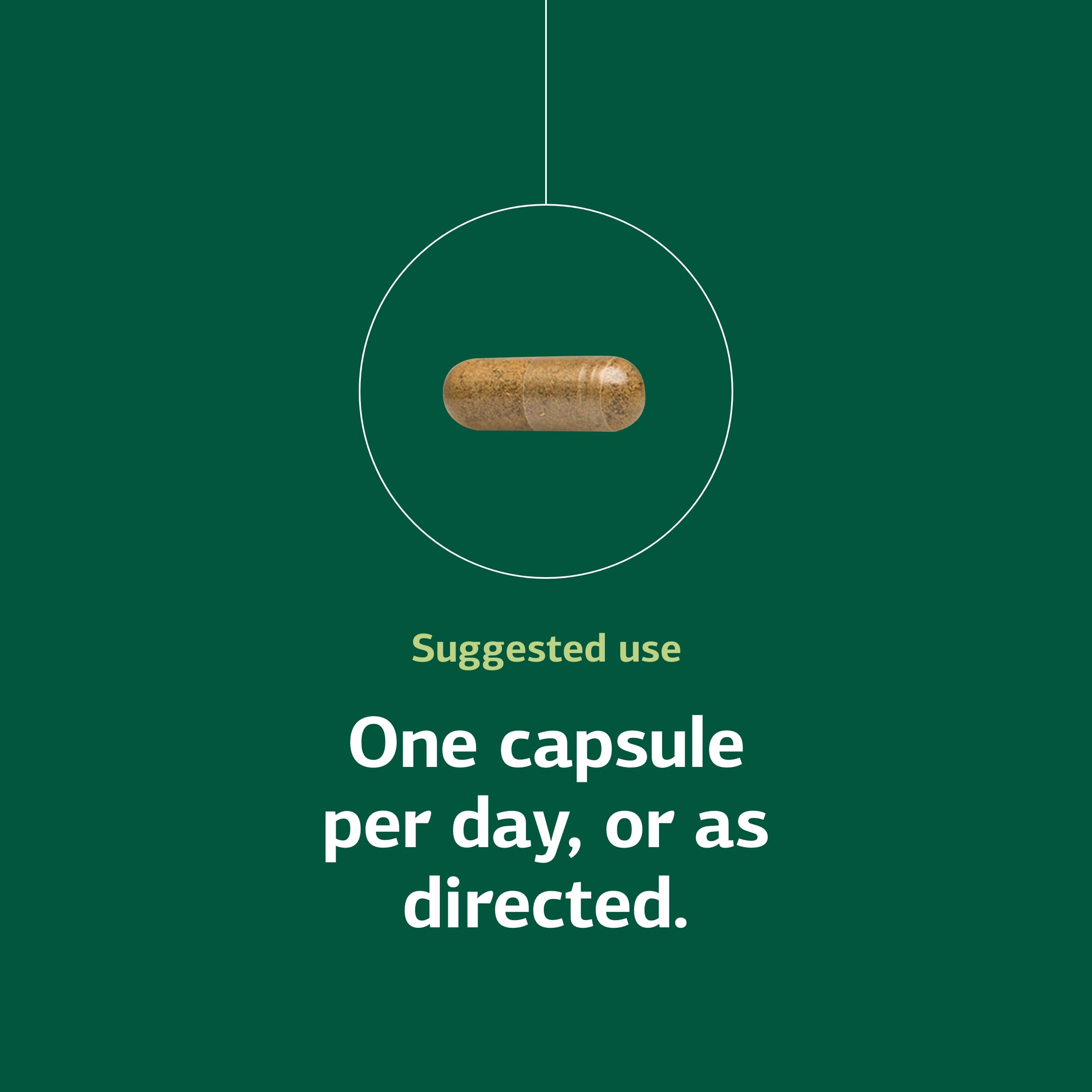 Close-up of one capsule illustrating daily dosage instruction