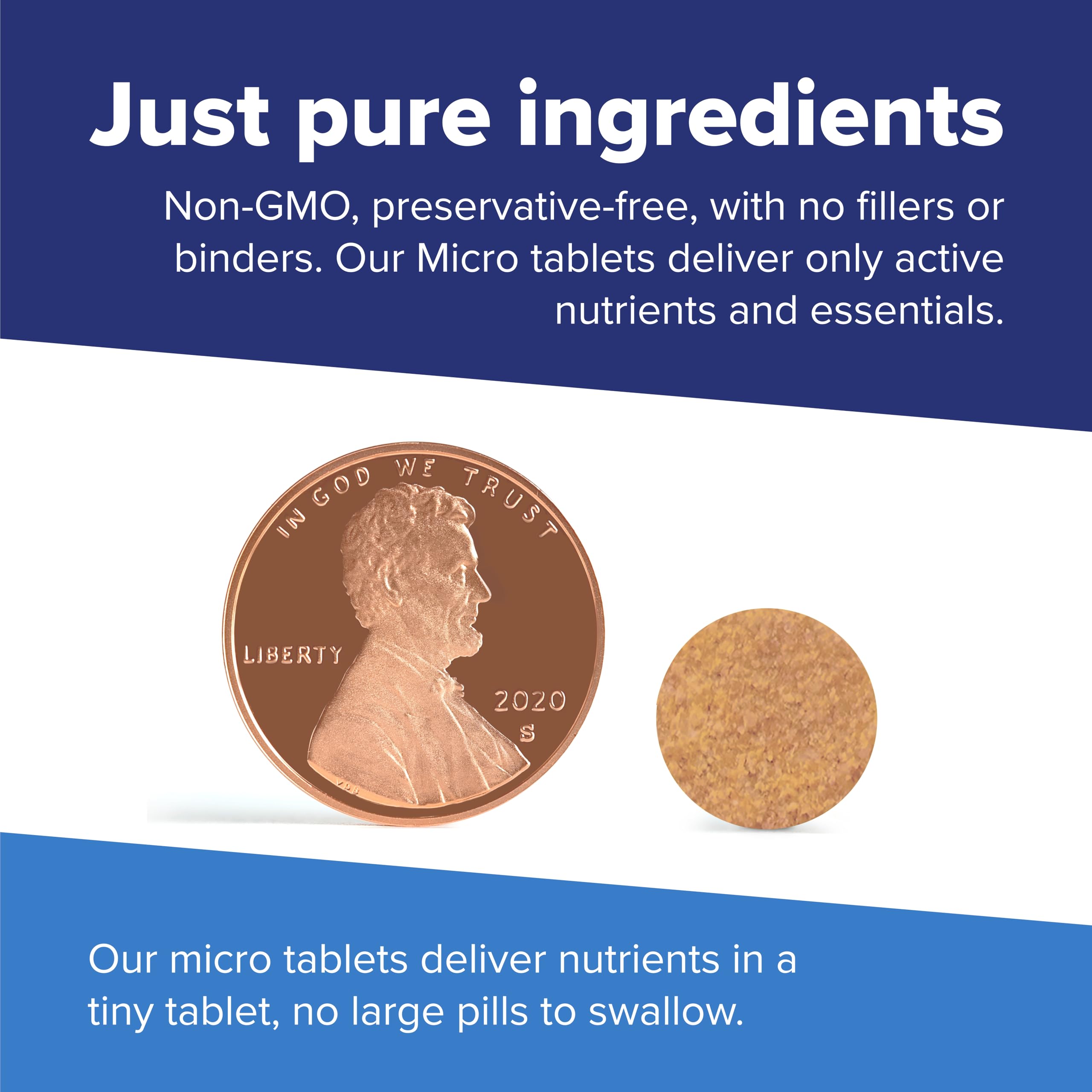 Graphic illustrating the vitamin components of the formula