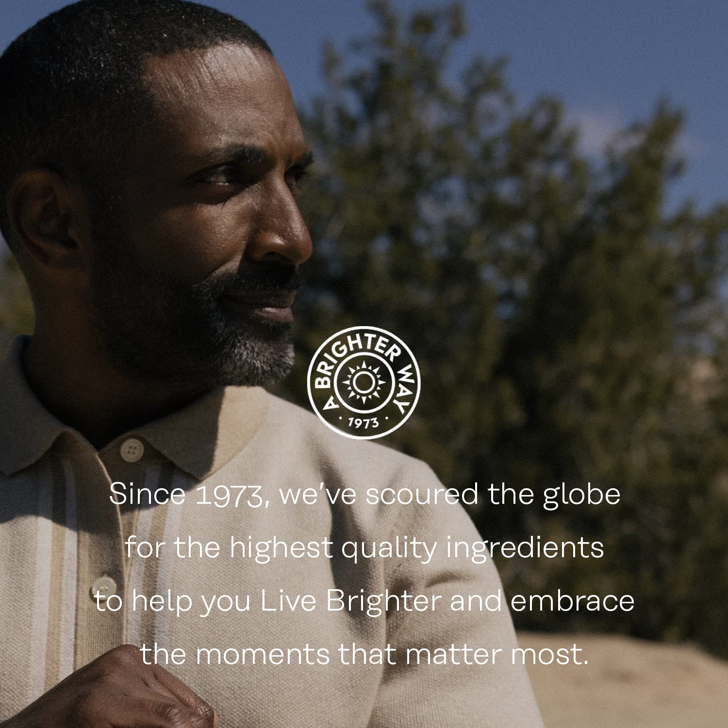 One Million Trees reforestation partnership logo