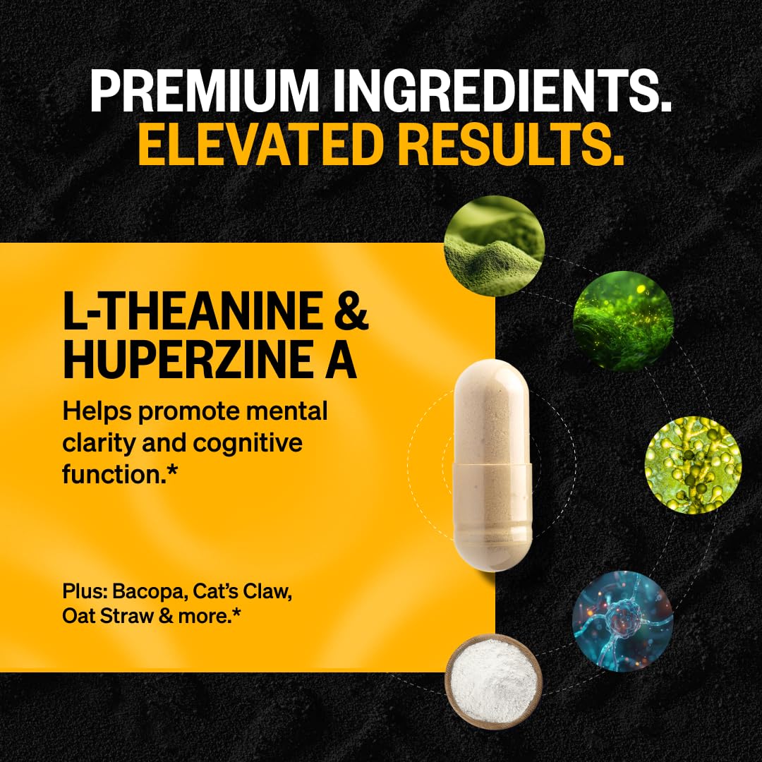 ONNIT Alpha Brain capsules close-up for easy daily nootropic intake