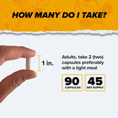 Back view of ONNIT Alpha Brain Pack of 4 packaging