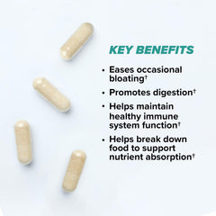 Probiotic strains included in Total Gut Health