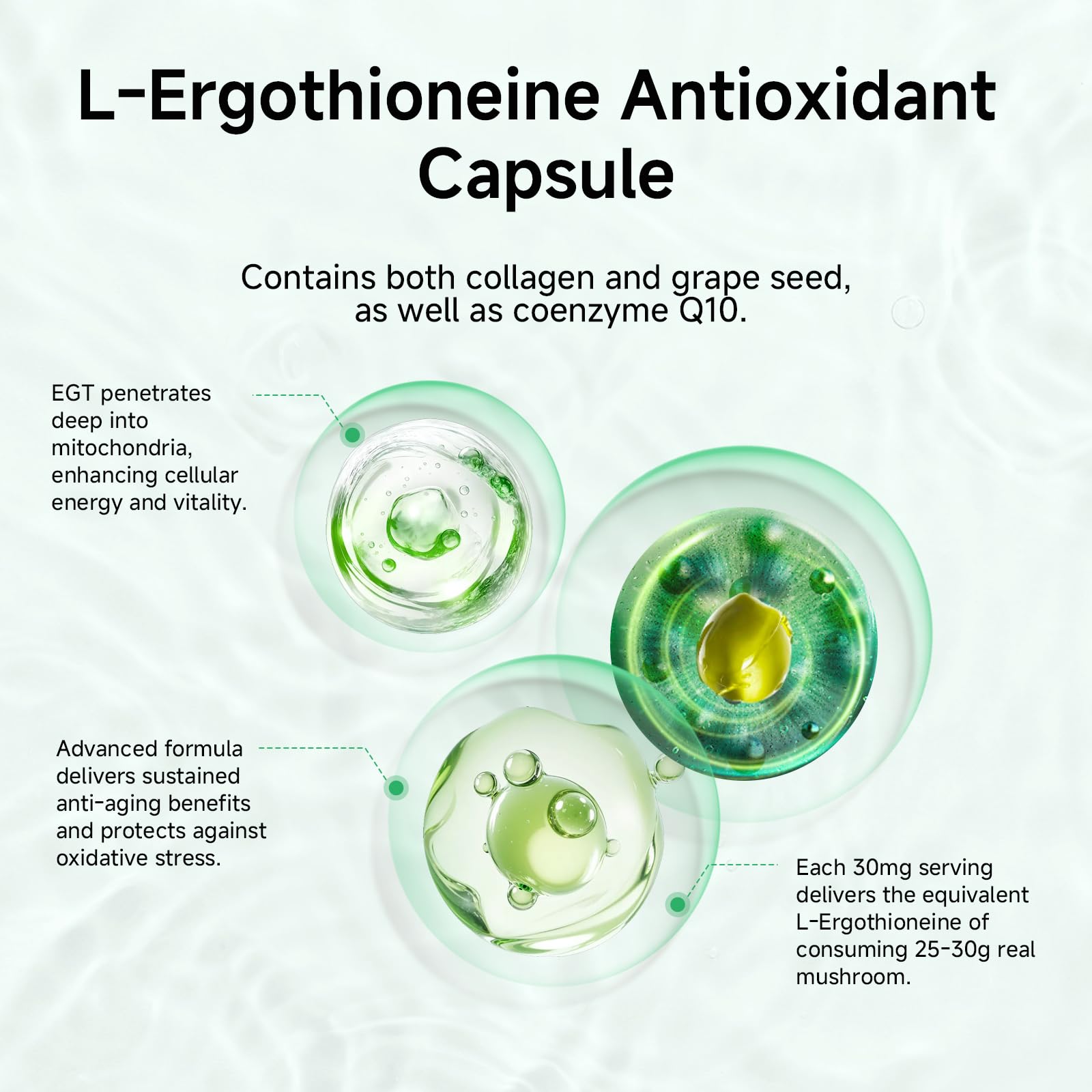 Quad-certified purity badge indicating formaldehyde-free, GMO-free, vegan, gluten-free