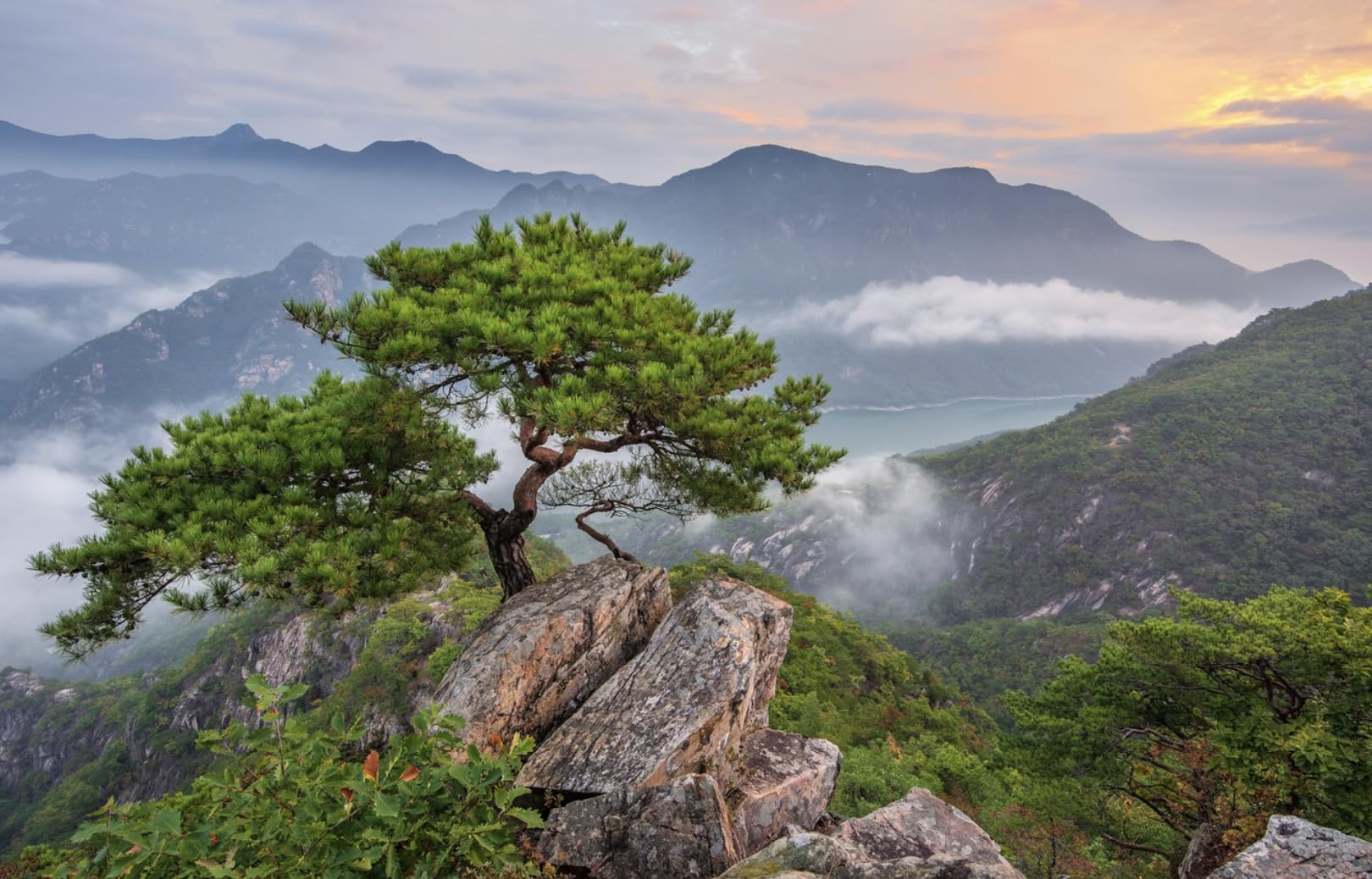 Optimally Organic Made in USA—family-owned care and trusted production standards.