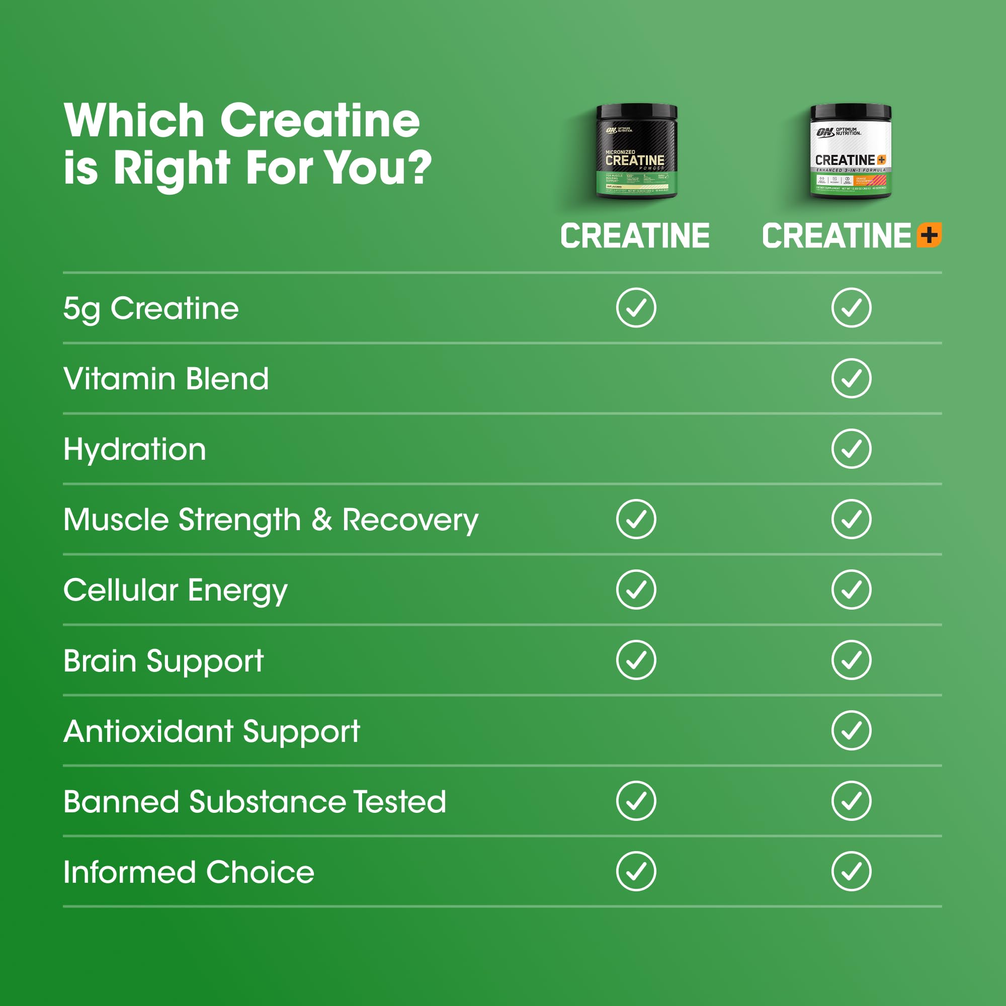Pouring Optimum Nutrition creatine micronized powder into a glass for mixing.
