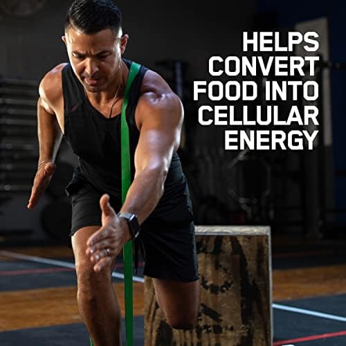 Active adults taking Optimum Nutrition Zinc Magnesium Aspartate with meals