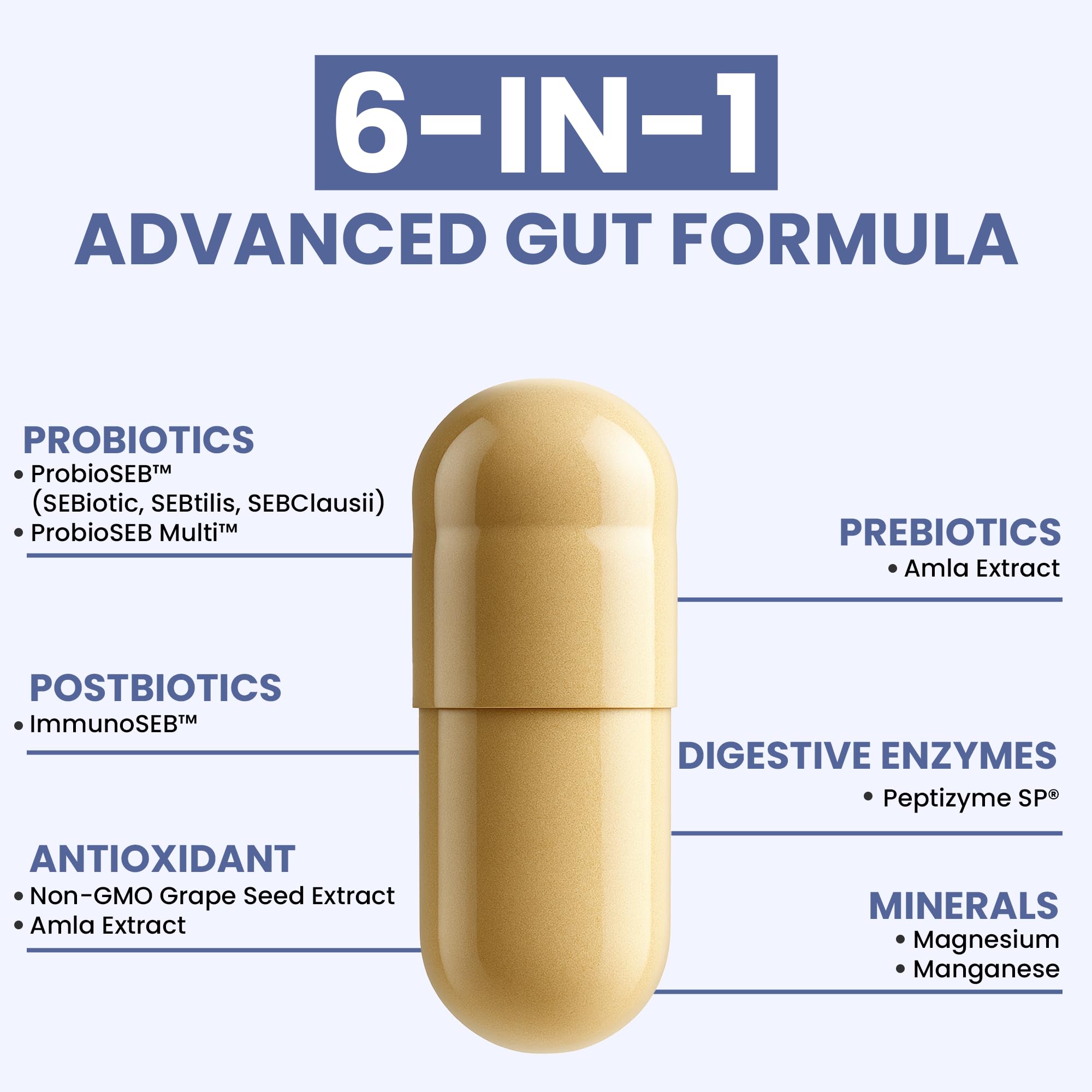 Graphic showing synbiotic ingredients and gut health