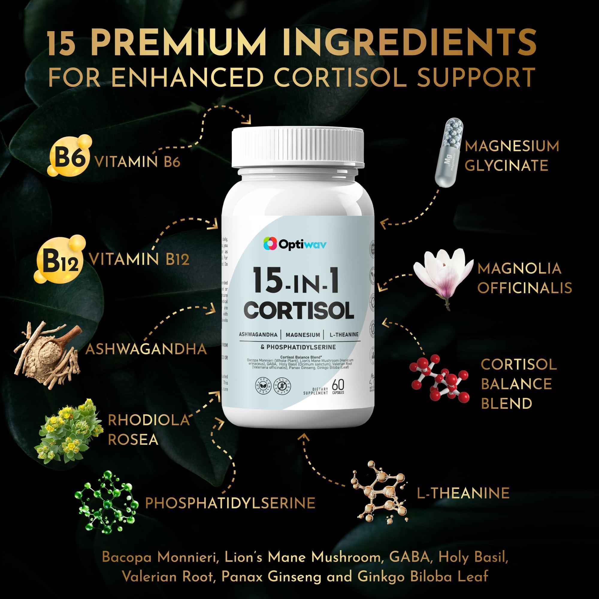 Herbal blend featuring Rhodiola, Lion’s Mane, and Ginkgo Biloba