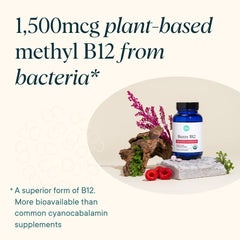 Vegan and Organic Certified logos on Ora Organic B12 packaging