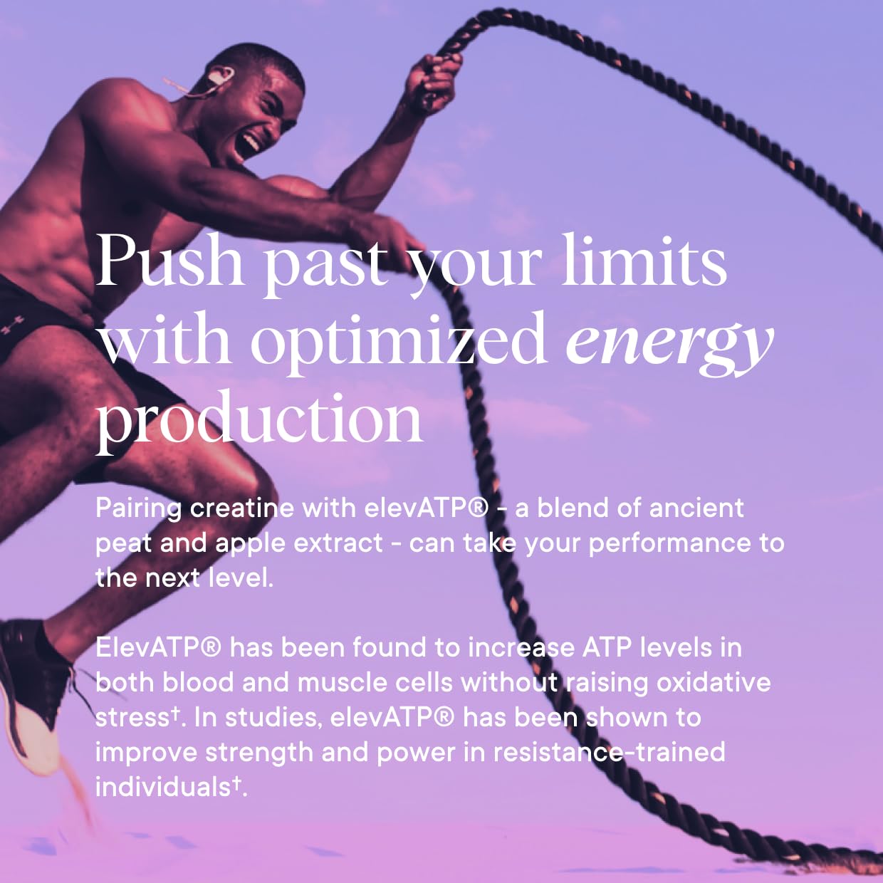 cGMP-certified facility badge in USA