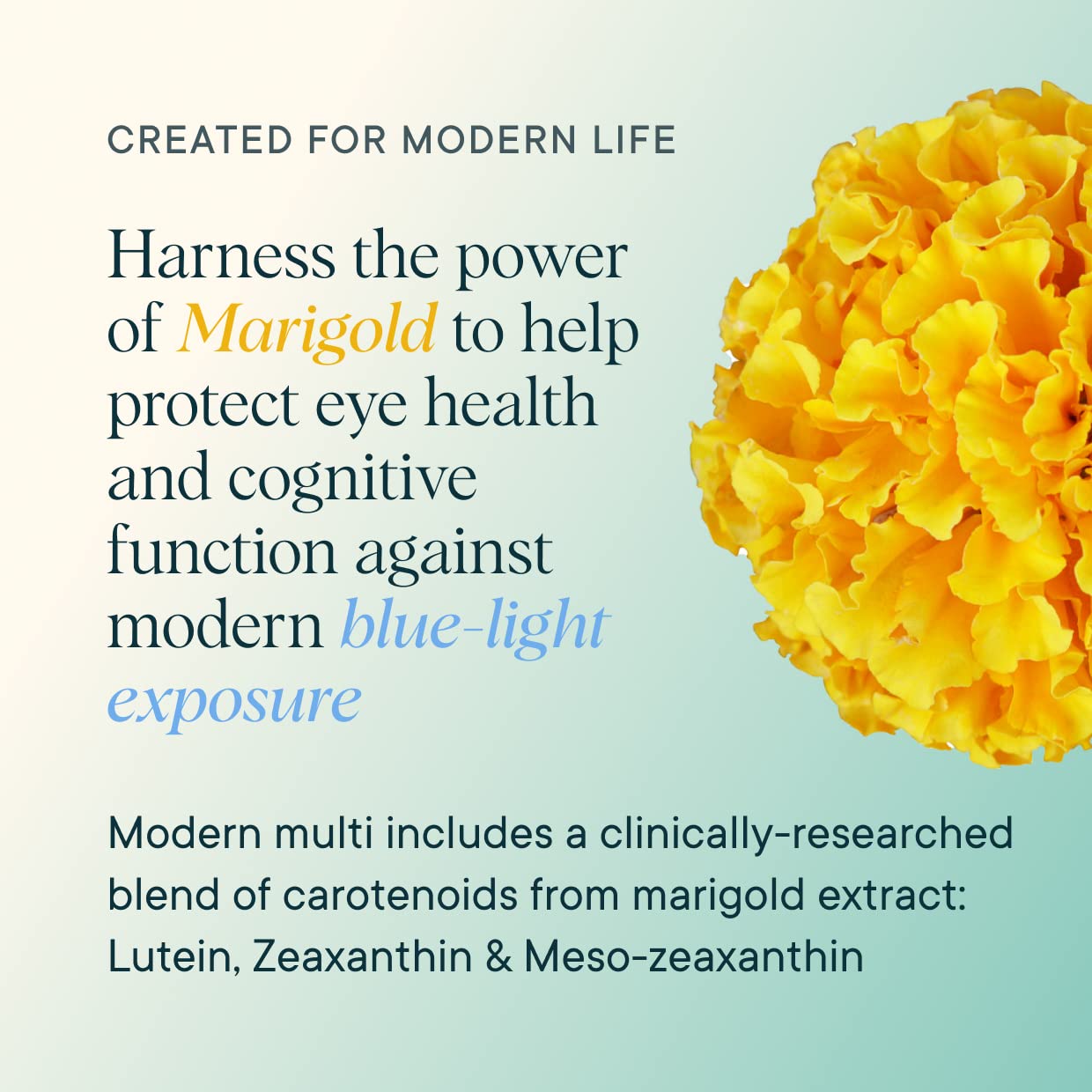 Ingredient sources: plant-based nutrients and chelated minerals