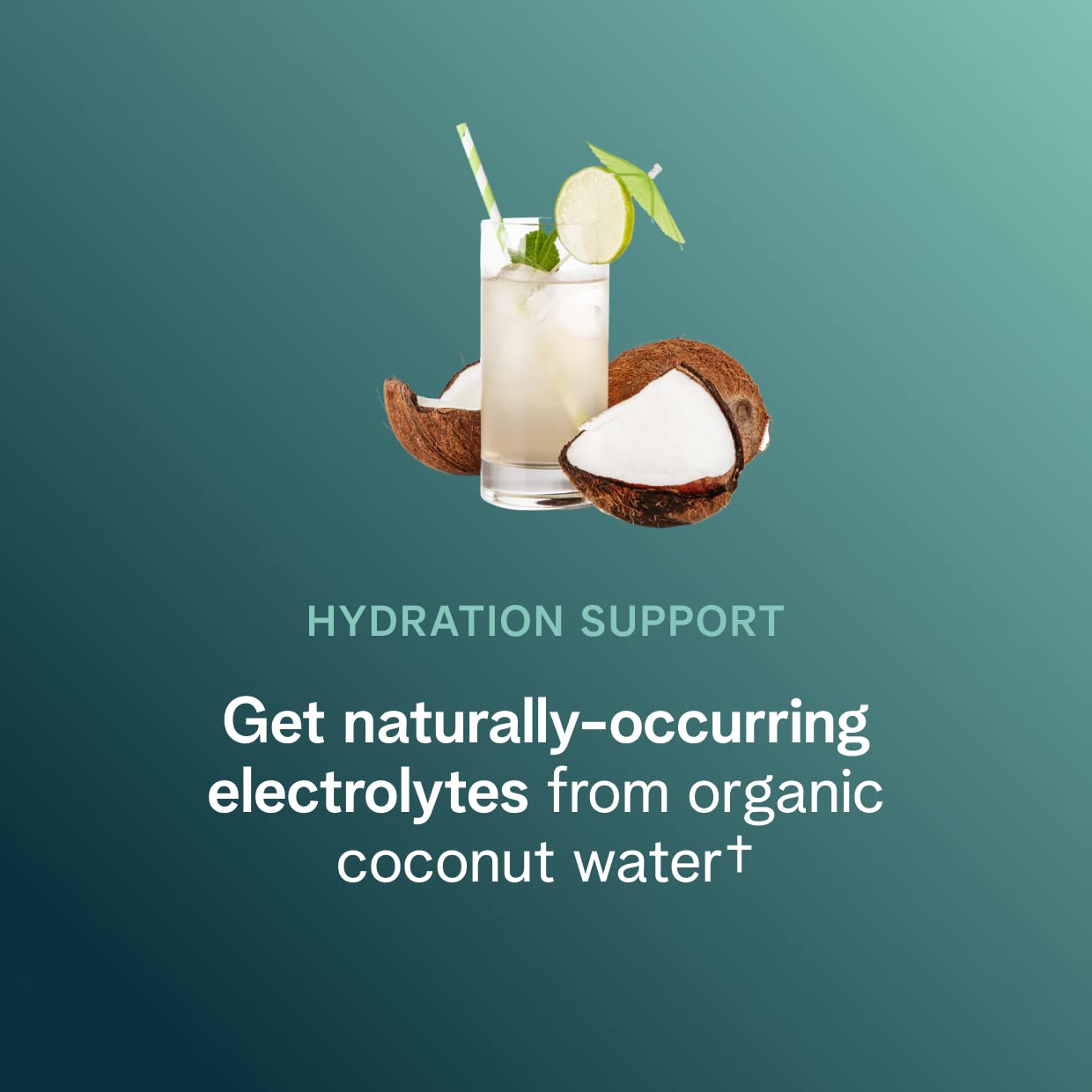 Ora Organic pre-workout berry beet scoop on a clean countertop.