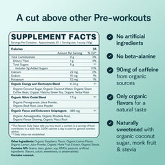 Ora Organic raspberry lemonade powder closeup highlights organic ingredients and refreshing flavor