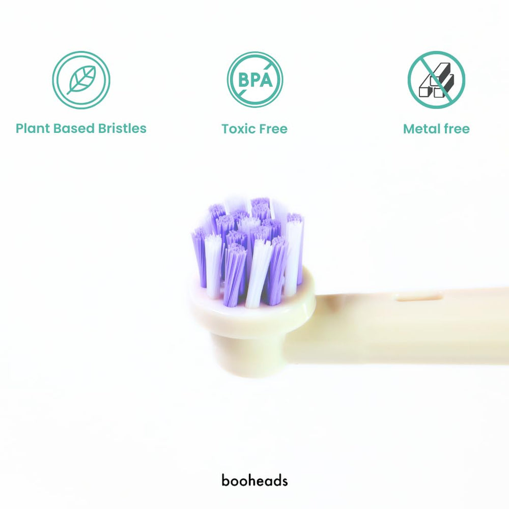 Biodegradable material and zero waste concept with Oraboo