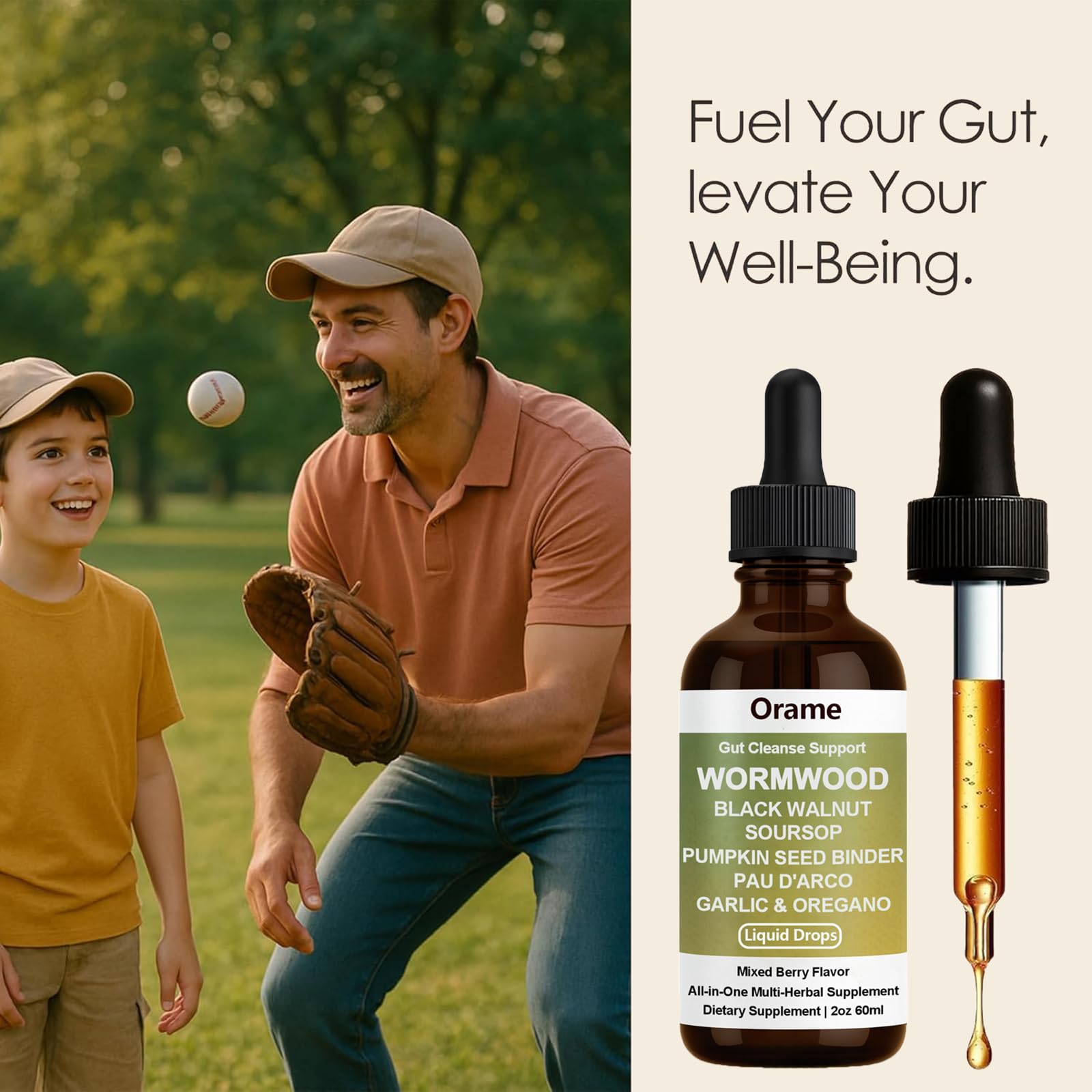 Concept image representing gut health and energy support