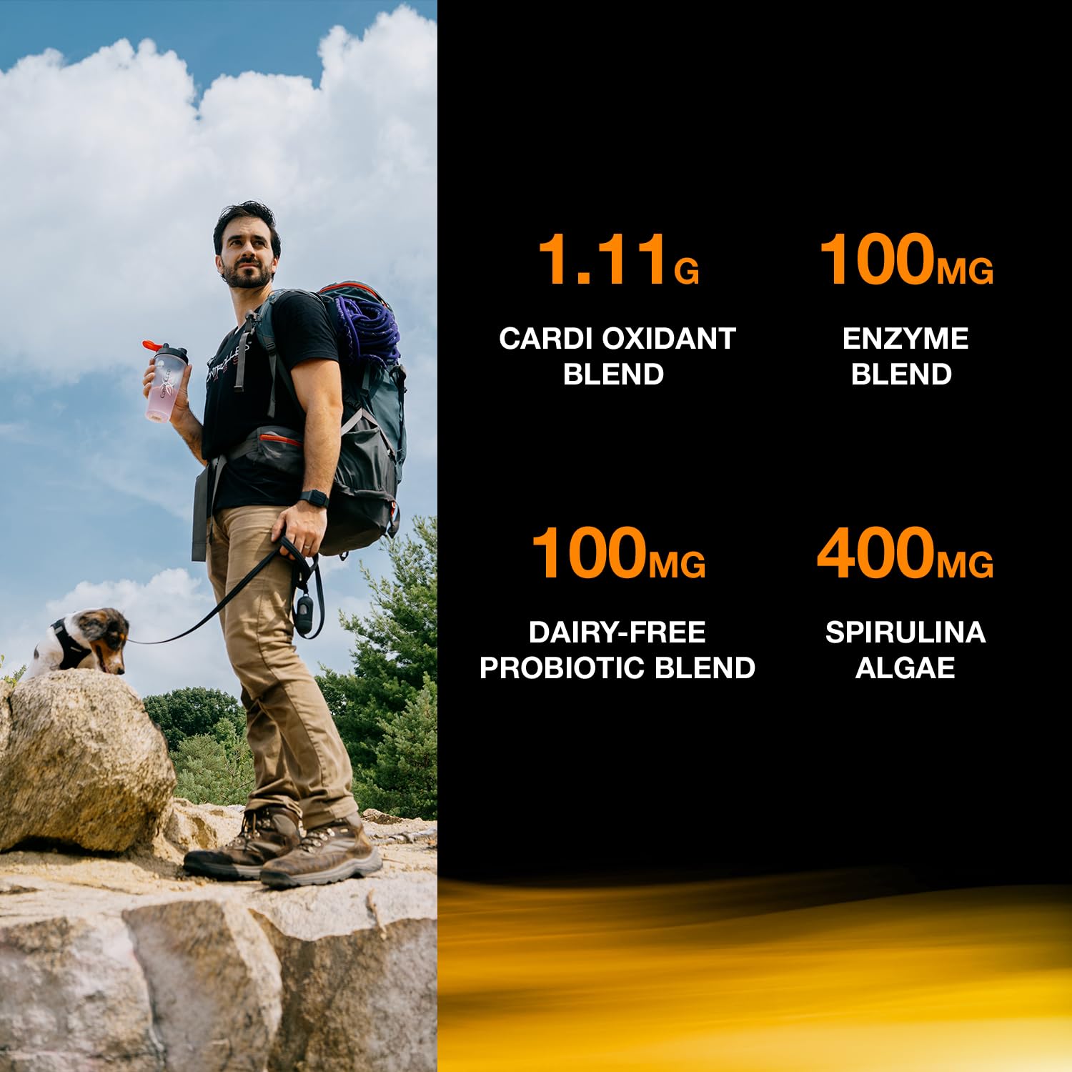 Nutrition label highlighting greens antioxidant blend