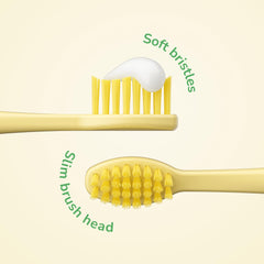 Close-up of soft bristles on Squishmallows replacement brush head
