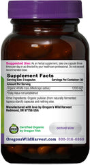 Close-up of organic alfalfa tops used in capsules