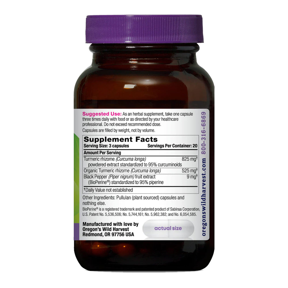 Close-up of organic turmeric rhizome and vegan capsules