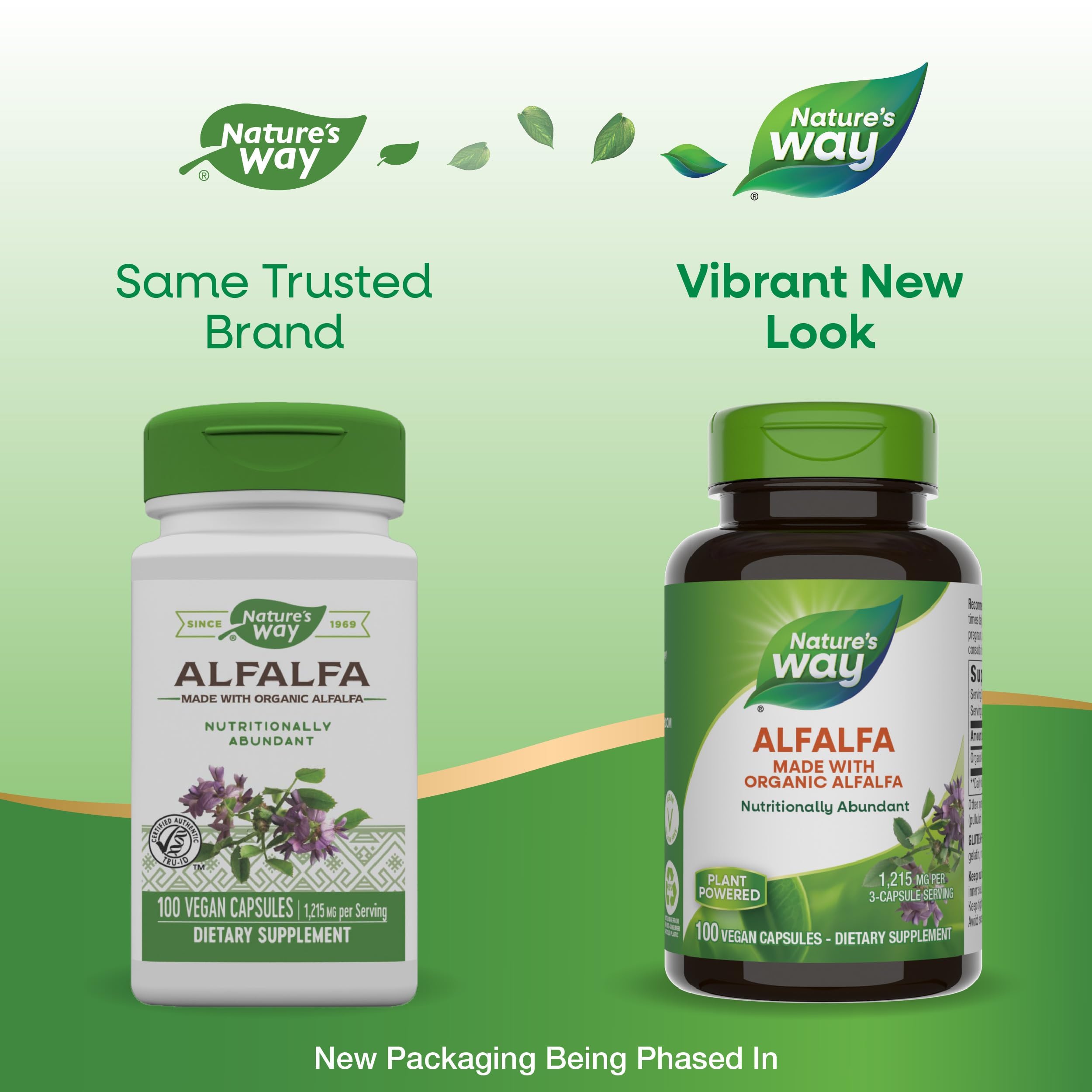 Organic alfalfa capsules suitable for vegan and gluten-free diets