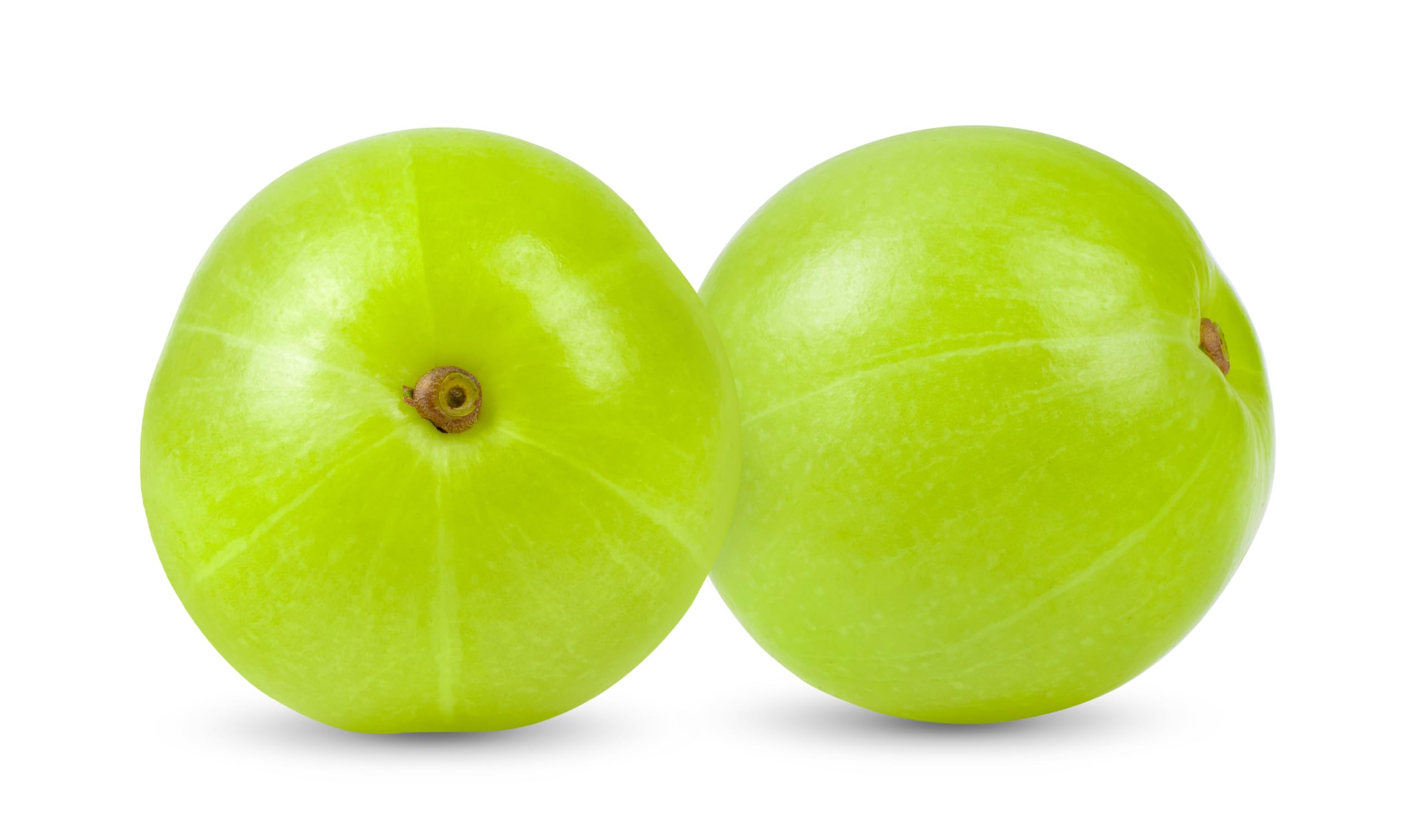 Resealable pouch of Organic Amla Powder 4 oz