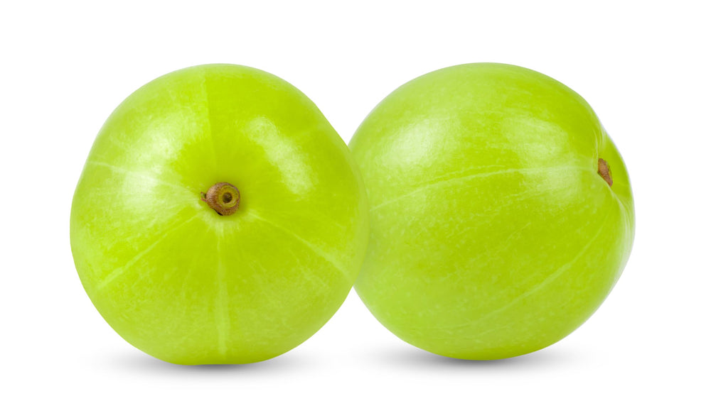 Resealable pouch of Organic Amla Powder 4 oz