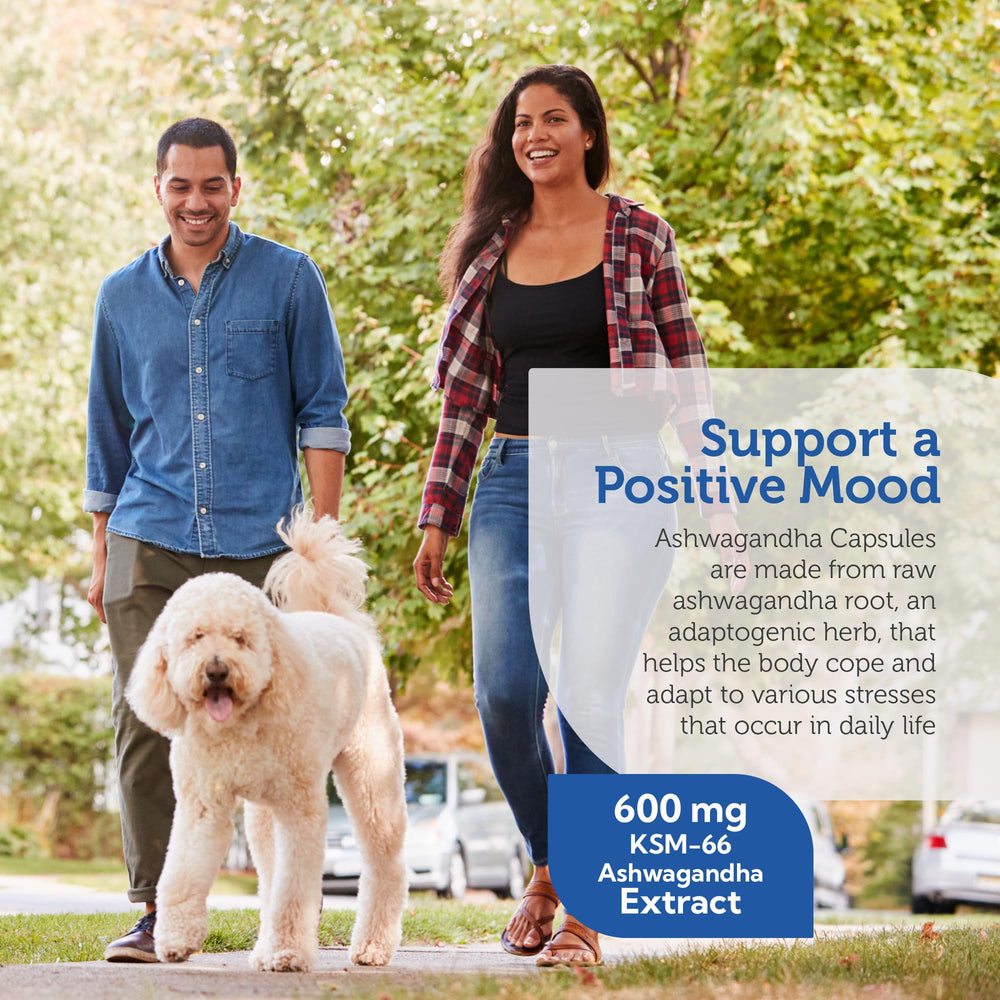 Organic Ashwagandha KSM-66 powder illustration