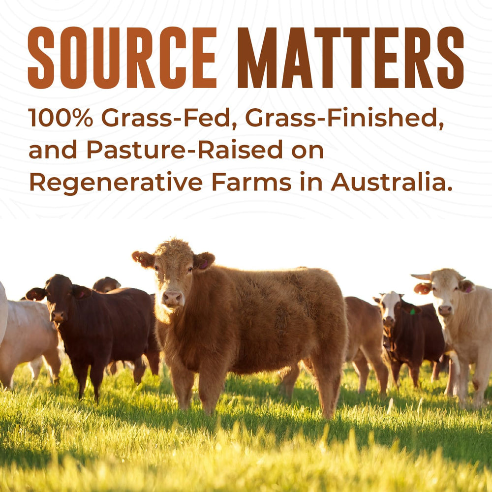 Close-up of freeze-dried beef liver capsules