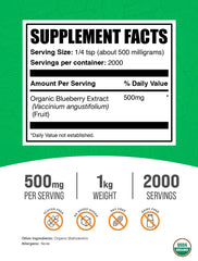Close-up of Organic Blueberry Extract Powder 500mg Serving