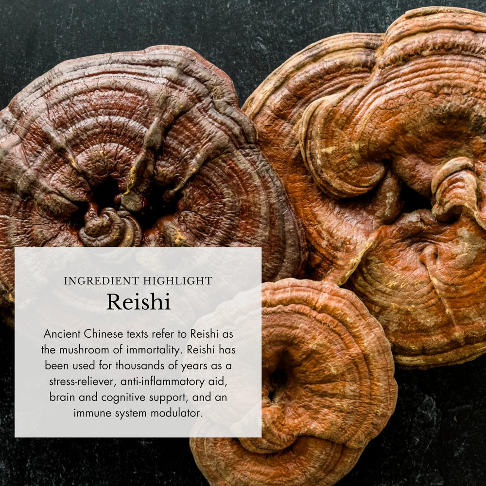 Organic cacao-infused mushroom powder close-up