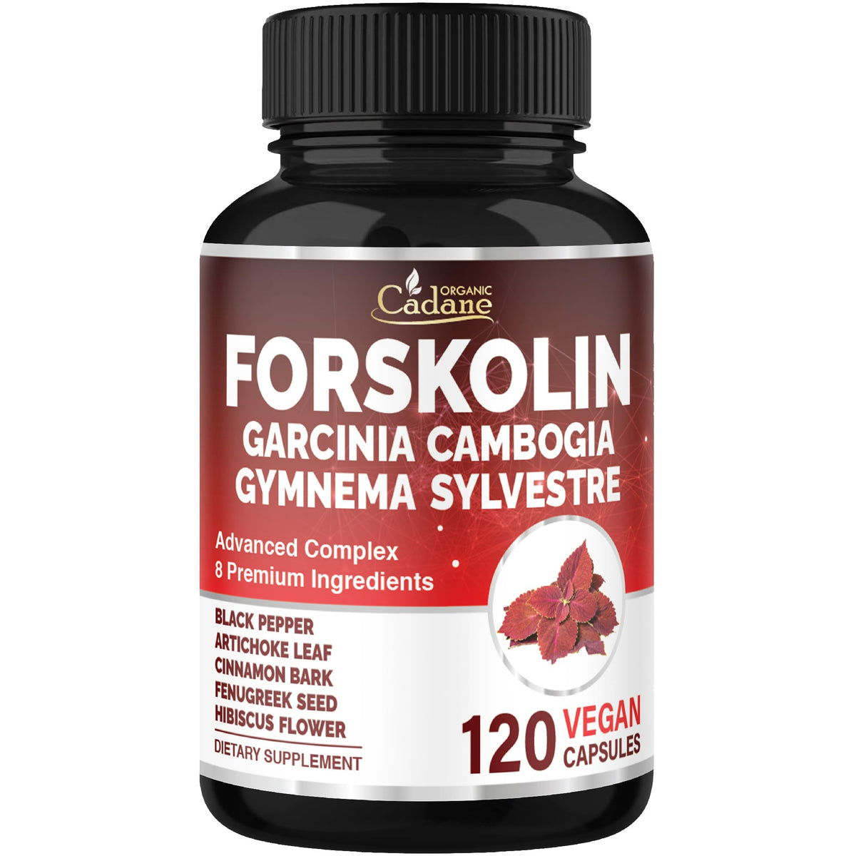 Organic Cadane Forskolin bottle – two-month supply for daily wellness support.