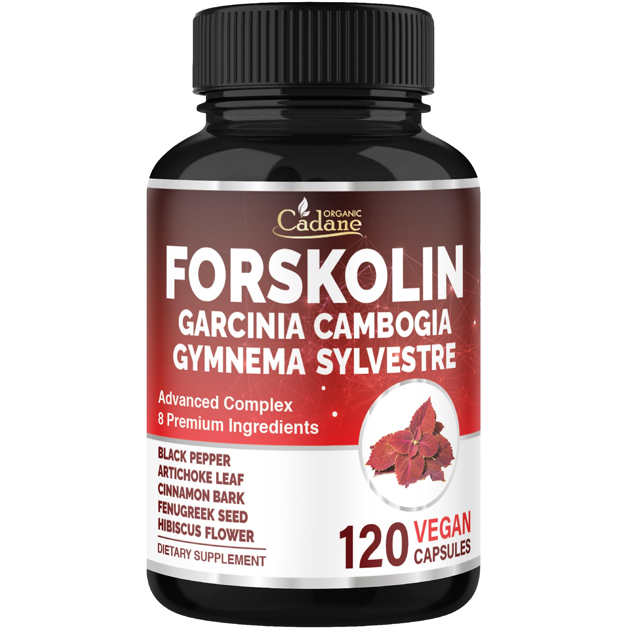 Organic Cadane Forskolin bottle – two-month supply for daily wellness support.