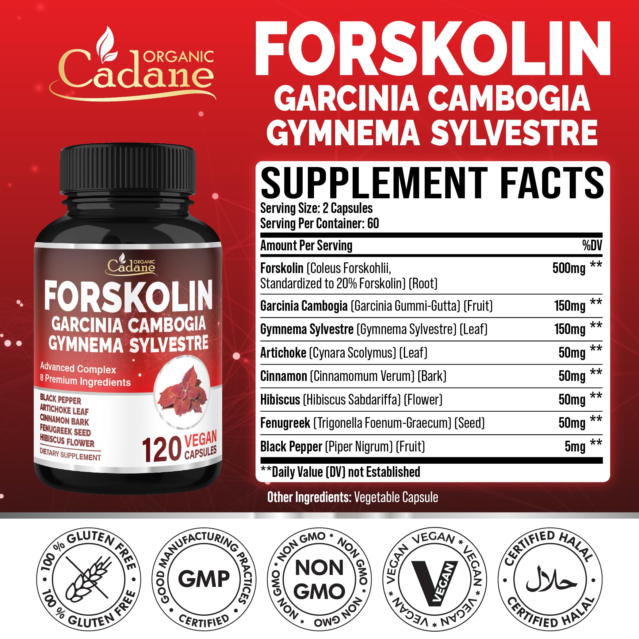 Organic Cadane Forskolin capsules – convenient two-capsule daily serving.