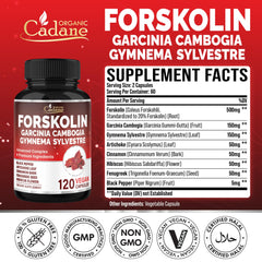 Organic Cadane Forskolin capsules – convenient two-capsule daily serving.