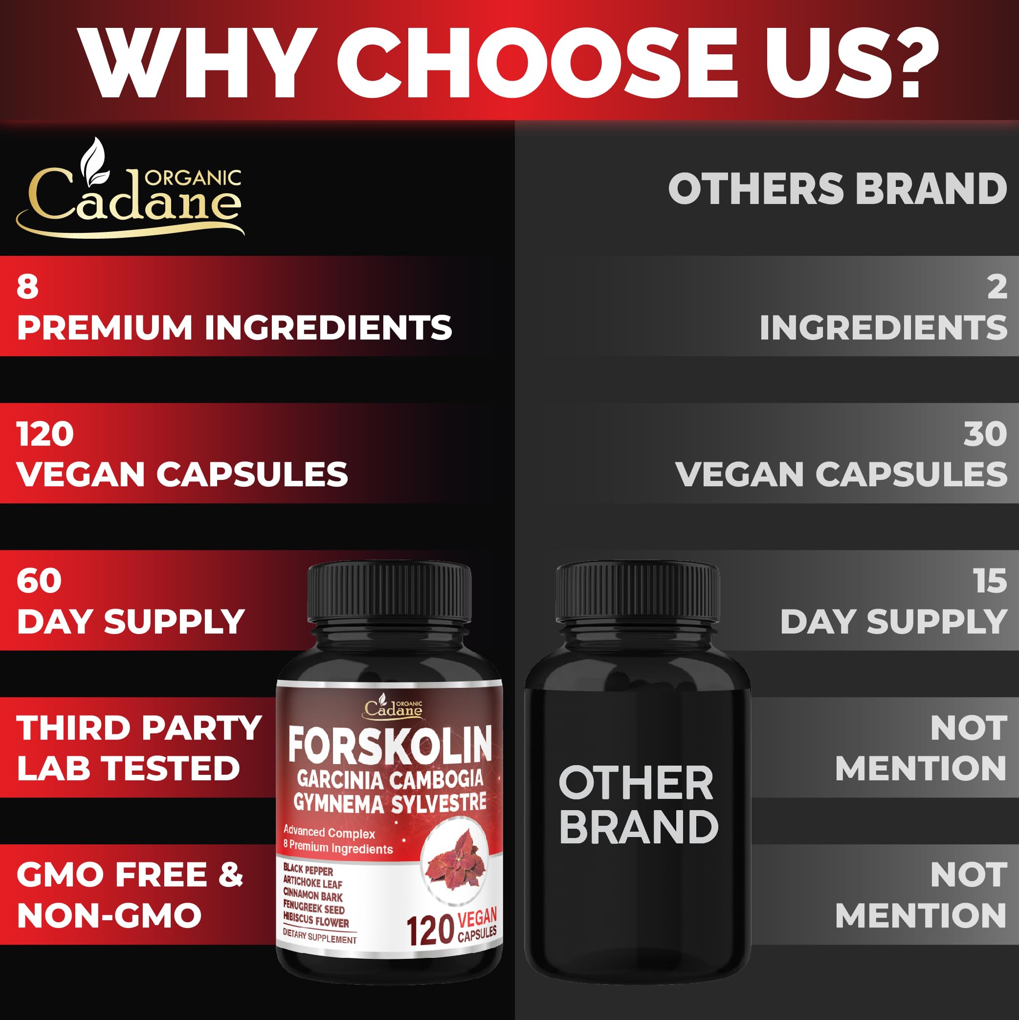 Organic Cadane Forskolin Garcinia Cambogia component – daily energy support.