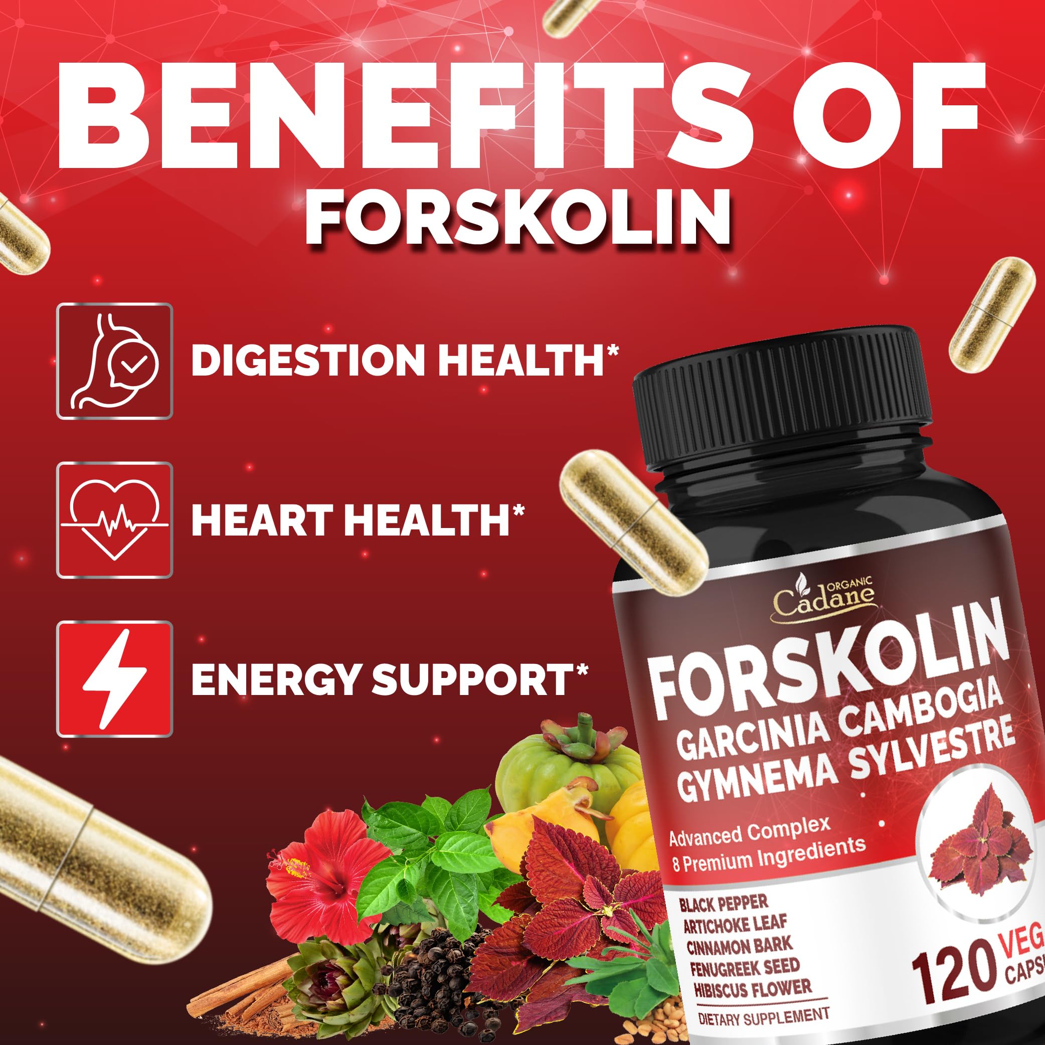 Organic Cadane Forskolin packaging – vegan, gluten-free, non-GMO quality.