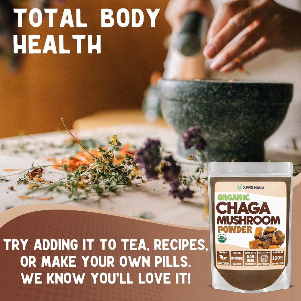 Chaga powder scoop with organic chaga powder