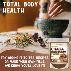 Chaga powder scoop with organic chaga powder