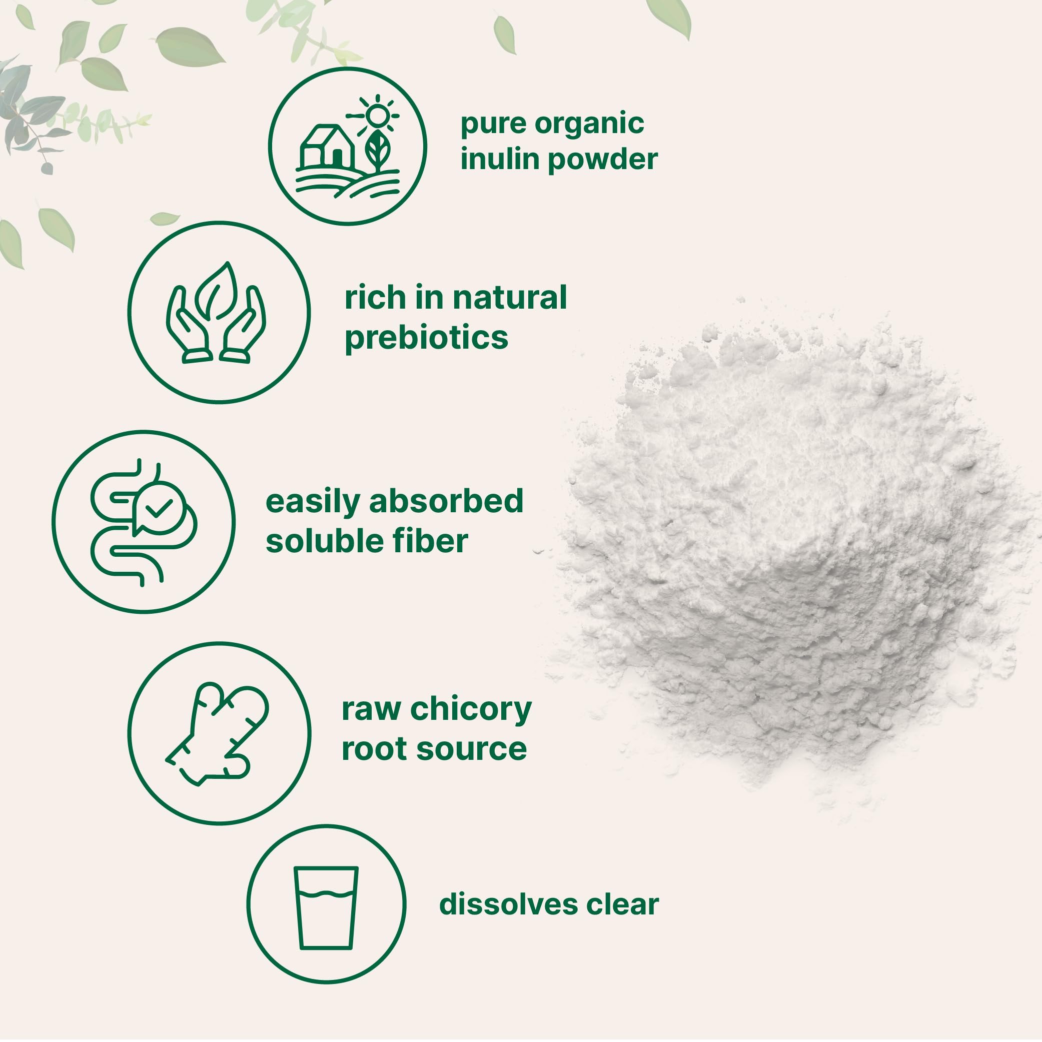 Close-up of organic chicory root inulin powder bulk form
