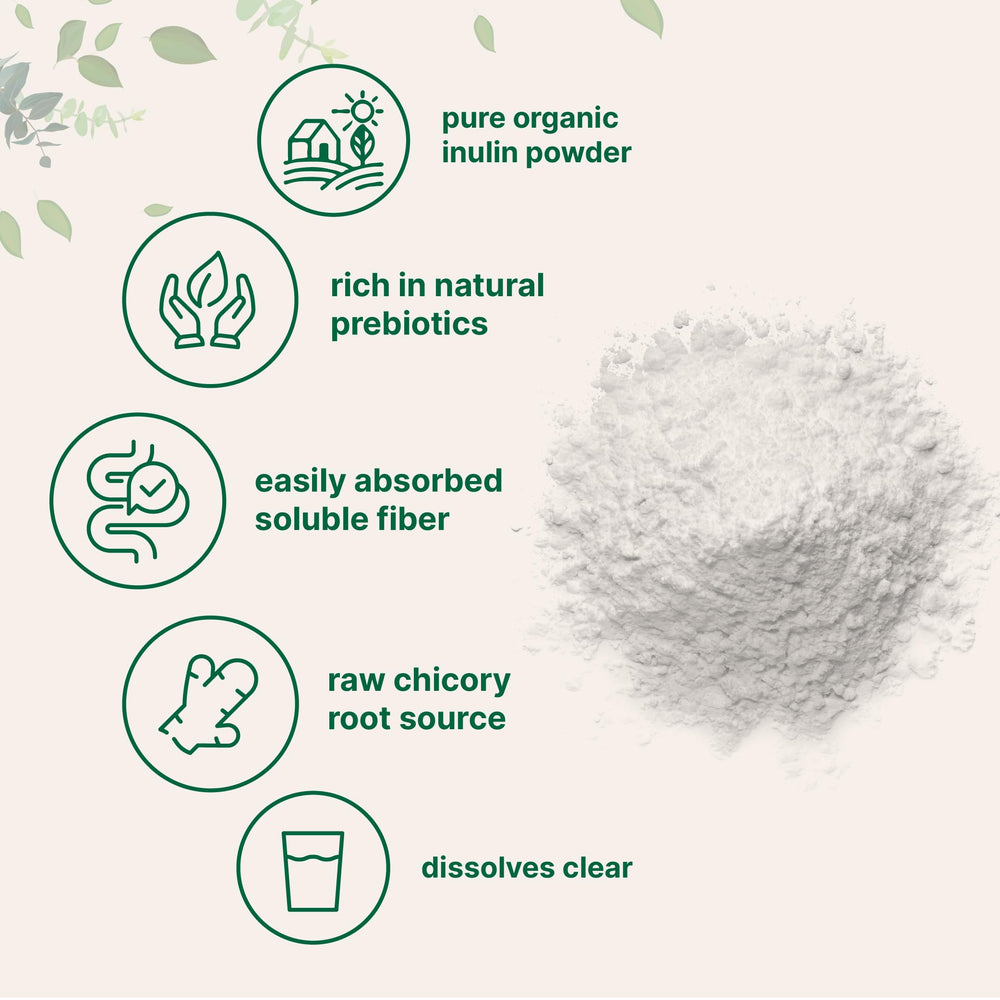 Close-up of organic chicory root inulin powder bulk form