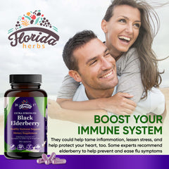 Organic elderberries (Sambucus nigra) used in capsules
