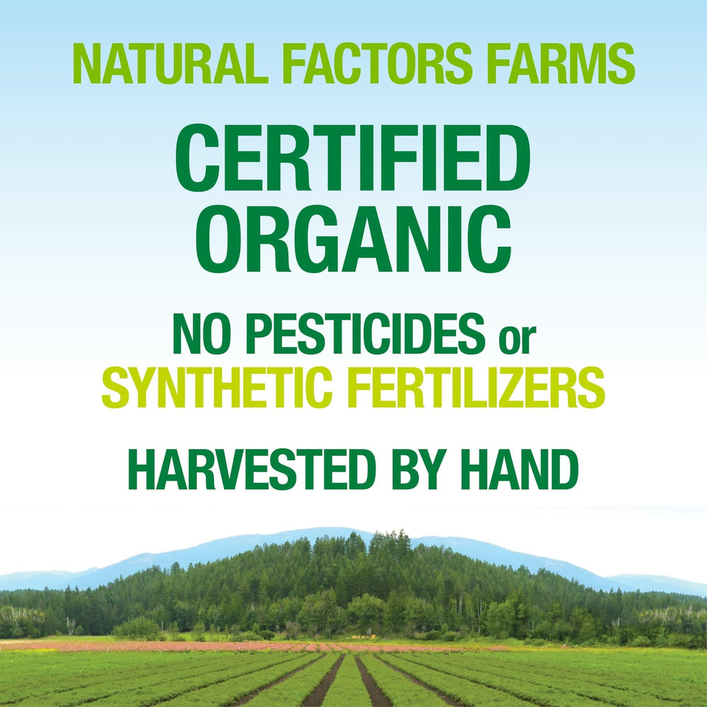 Organic fermented mushroom blend used in the formula